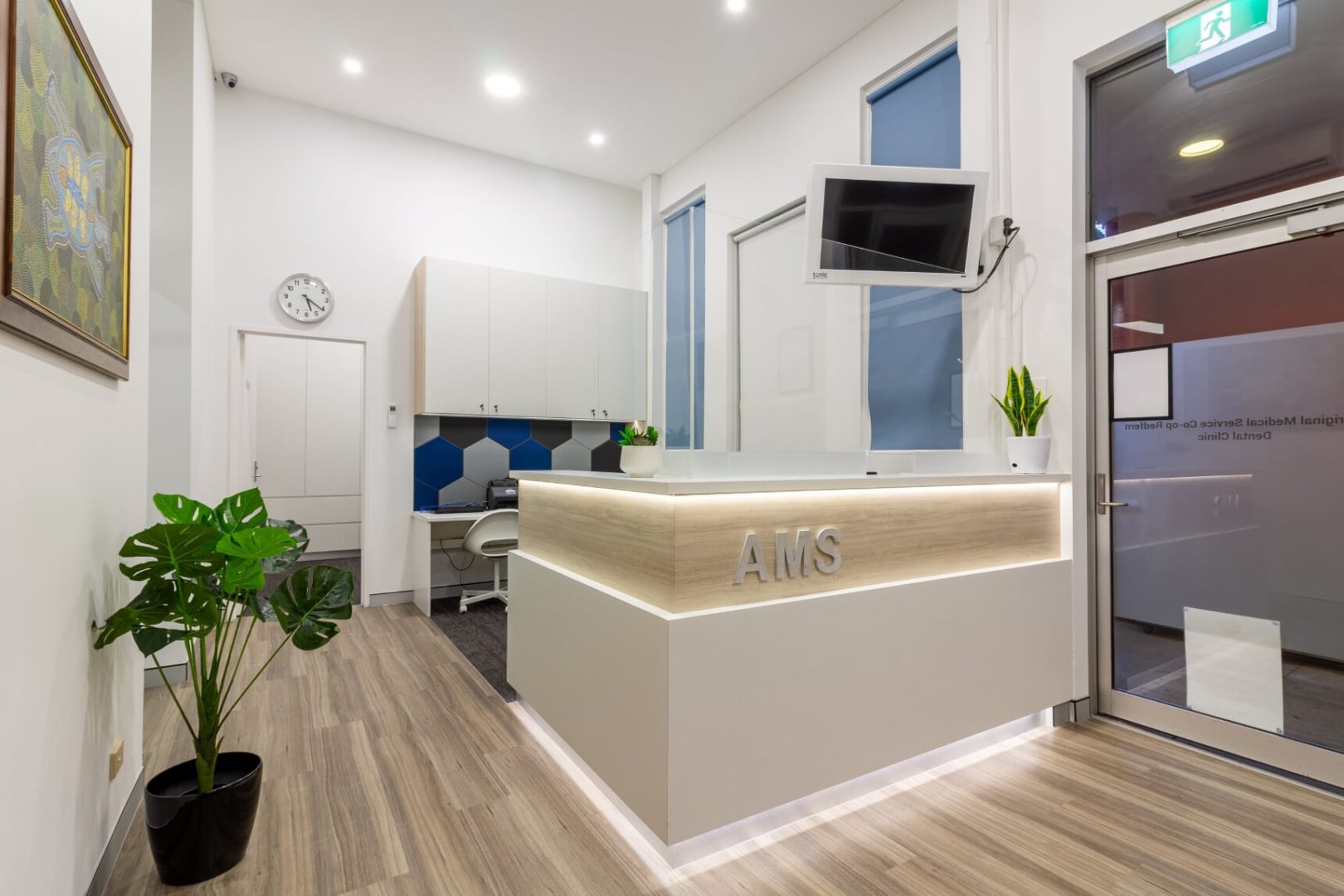 Aboriginal Medical Service Portfolio